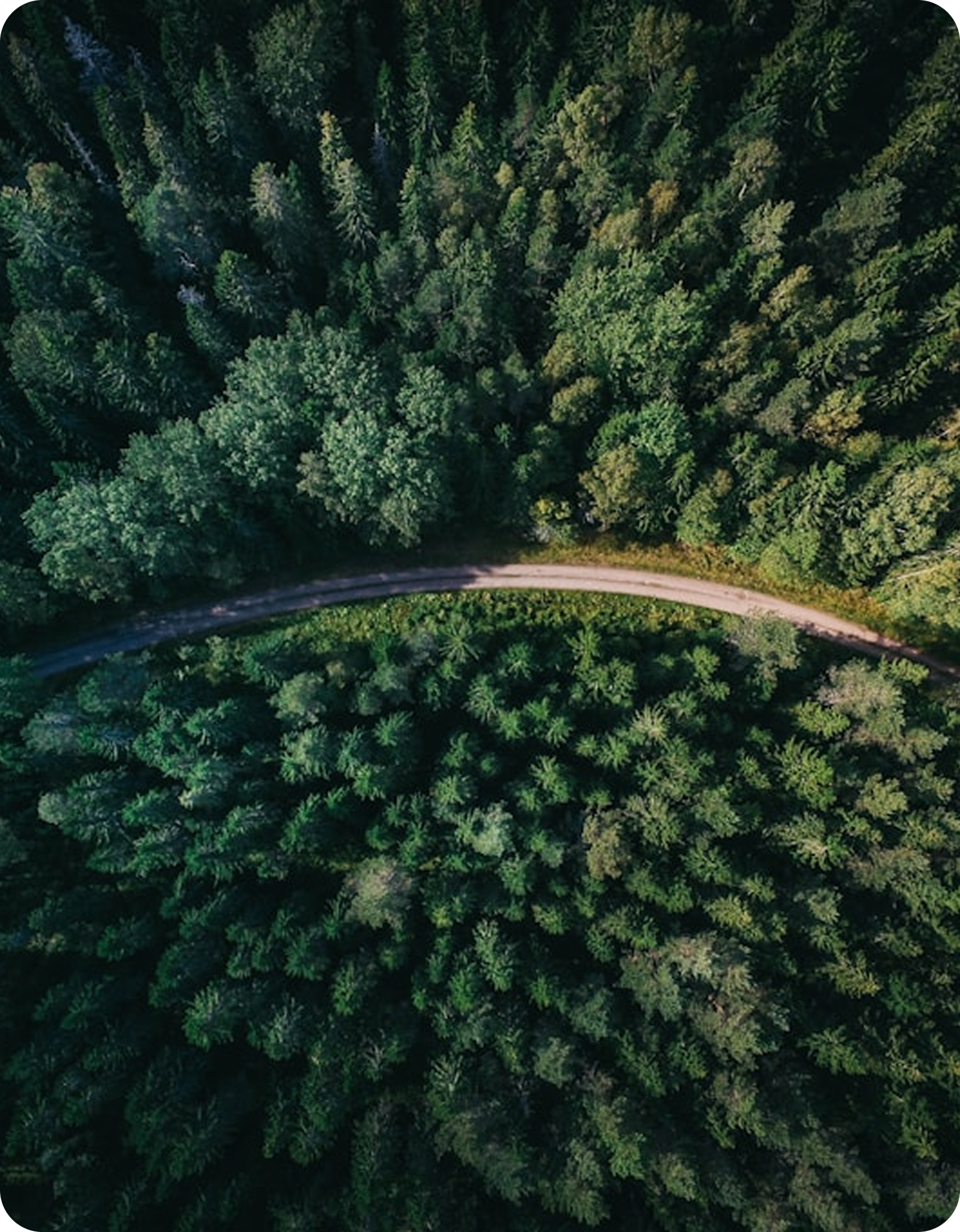 What we do illustration